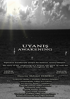 Awakening