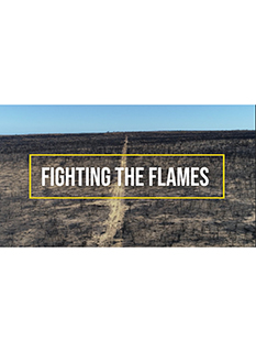 Fighting the Flames