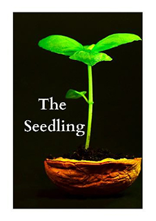 The Seedling