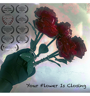 Your Flower Is Closing