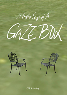 Gaze Box