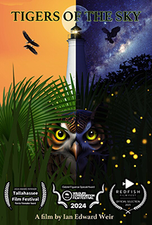 Tigers of the Sky